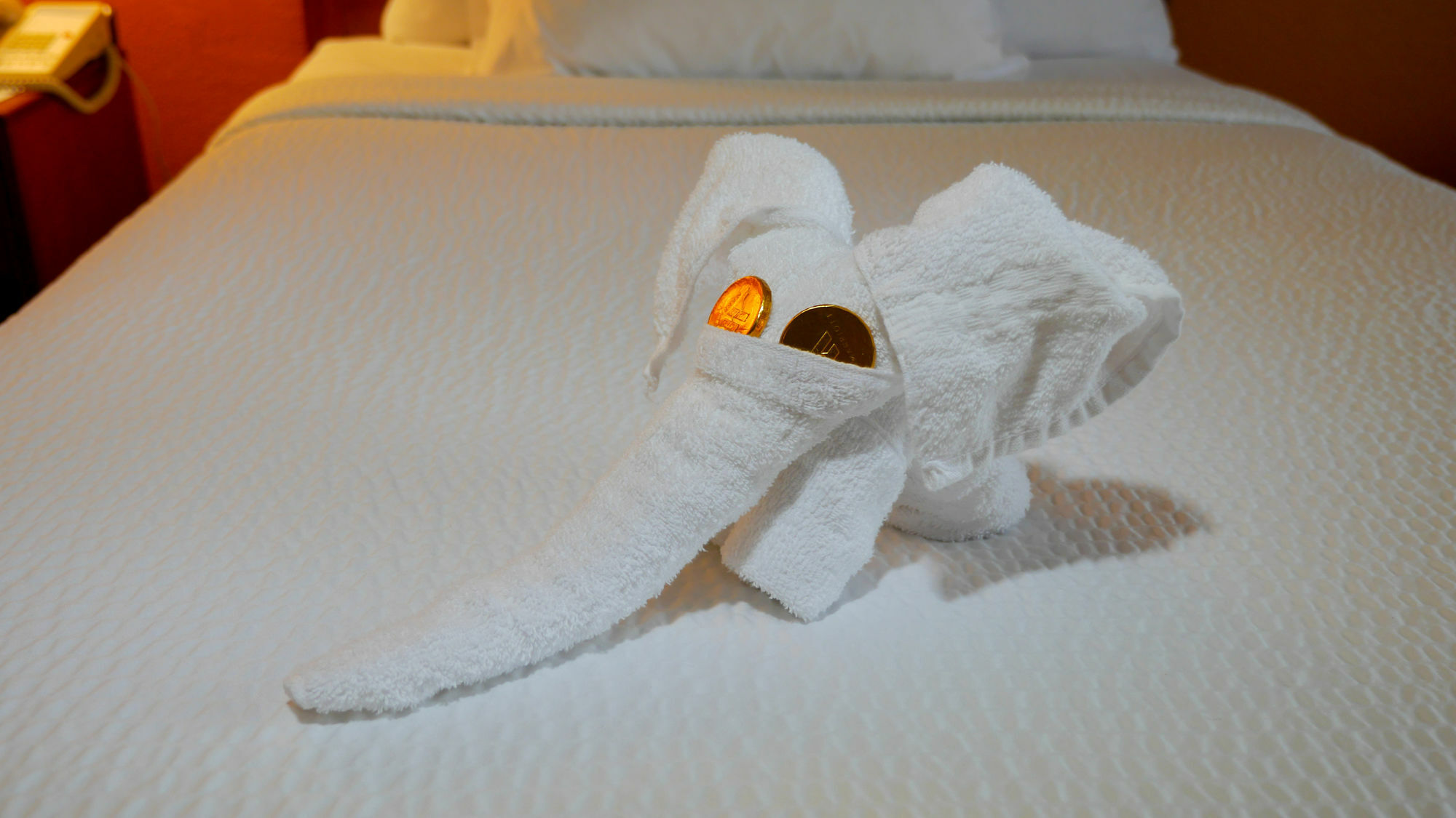Quality Inn Fayetteville Near Fort Bragg מראה חיצוני תמונה